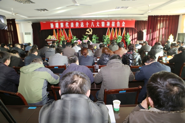 十八大代表楊瑞輝宣講十八大精神 十八大代表楊瑞輝宣講十八大精神