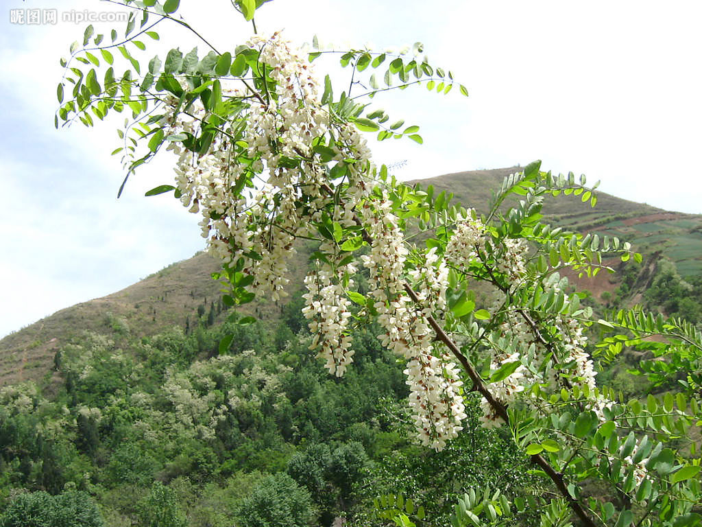 點(diǎn)擊查看源網(wǎng)頁