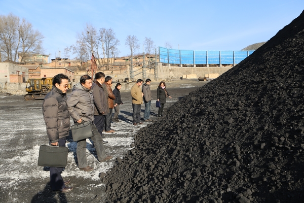 檢查組成員深入煤場了解煤質(zhì)情況 檢查組成員深入煤場了解煤質(zhì)情況
