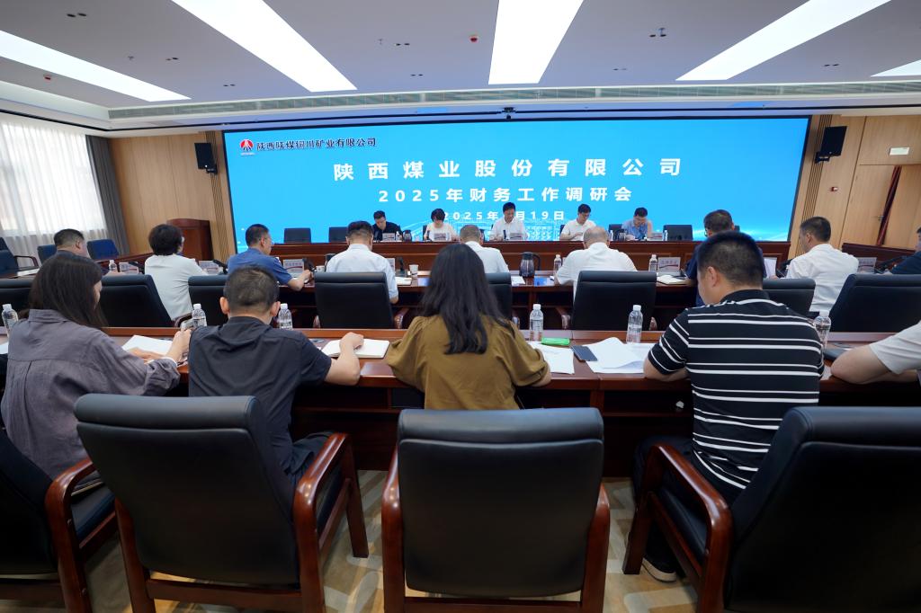 陜西煤業(yè)總會(huì)計(jì)師孫武到公司開(kāi)展2025年財(cái)務(wù)工作調(diào)研